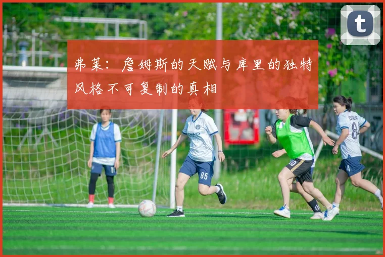 弗莱：詹姆斯的天赋与库里的独特风格不可复制的真相